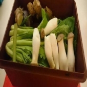 豆芽菜能量培育盒